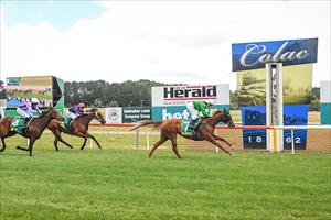Blue Chip Girl, Colac Dec 2023 Blue Chip Girl, Colac Dec 2023